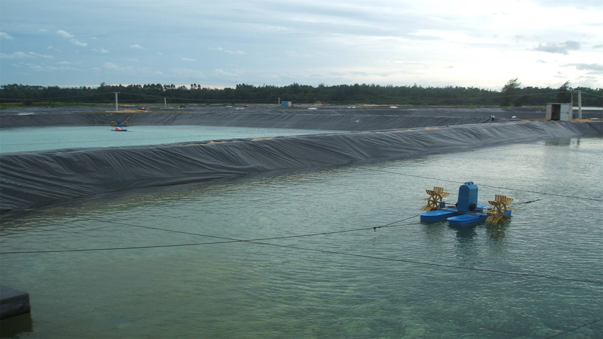 鱼塘虾池防渗